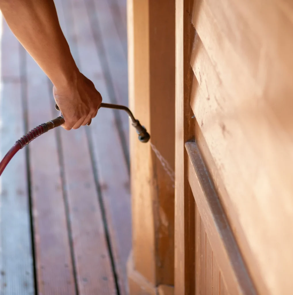 Trusted Pest Control - Union City Pest Control Pros | Union City, NJ | 551-288-0181